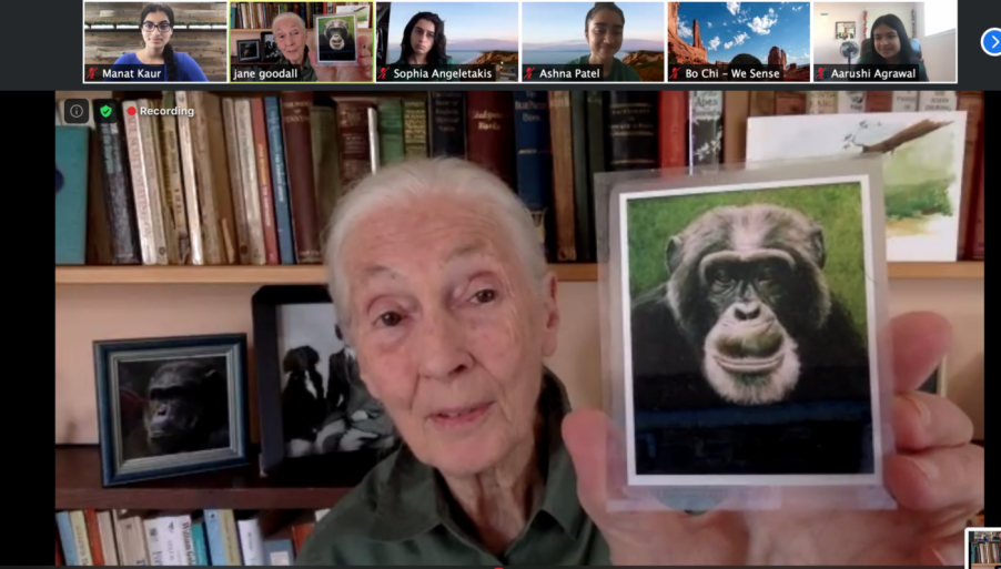 Dr. Goodall shows a photo of David Graybeard