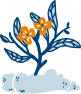 donation type3